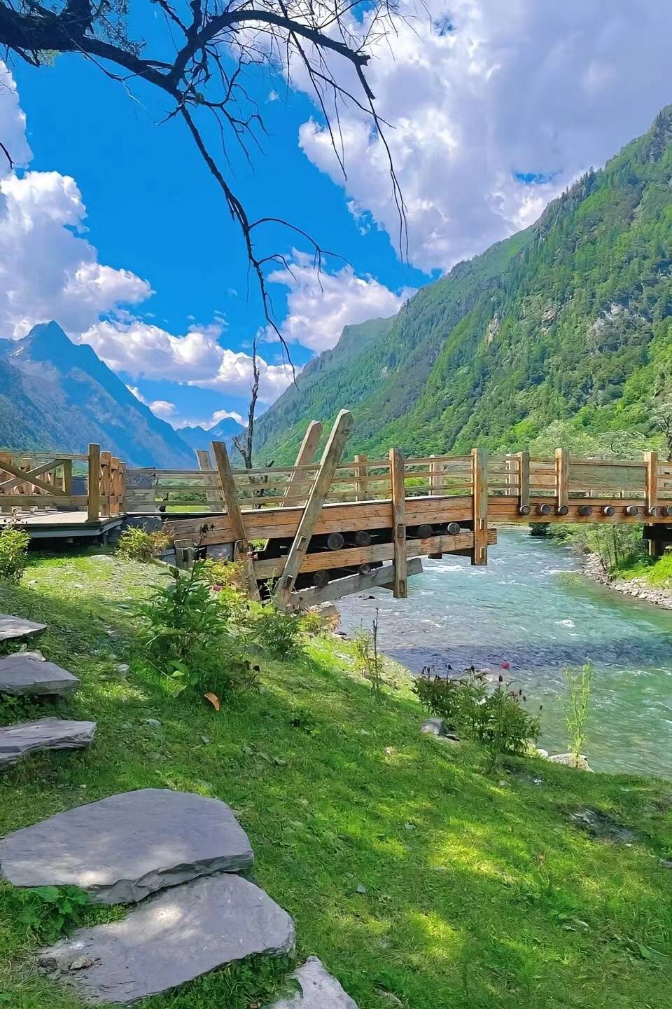 廈門至四川旅游報(bào)團(tuán)價(jià)格全解析 團(tuán)費(fèi)多少？魅力旅行如何不踩坑？